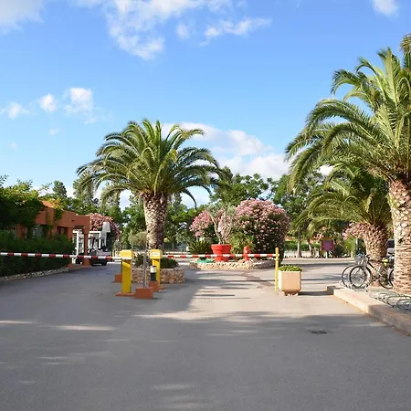 Les Tropiques